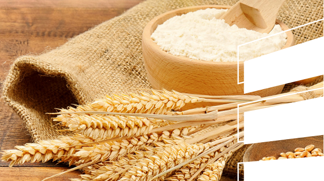 lisztgyártás lisztgyártás